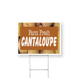Farm Fresh Cantaloupe
