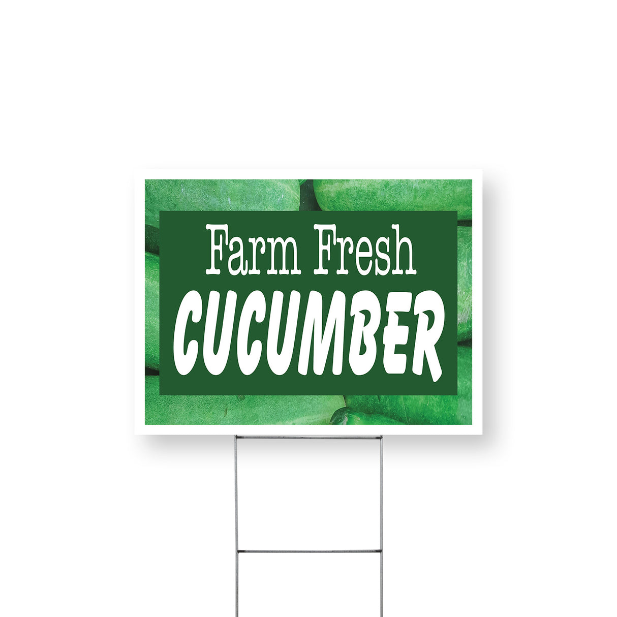Farm Fresh Cucumber