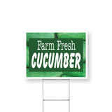 Farm Fresh Cucumber