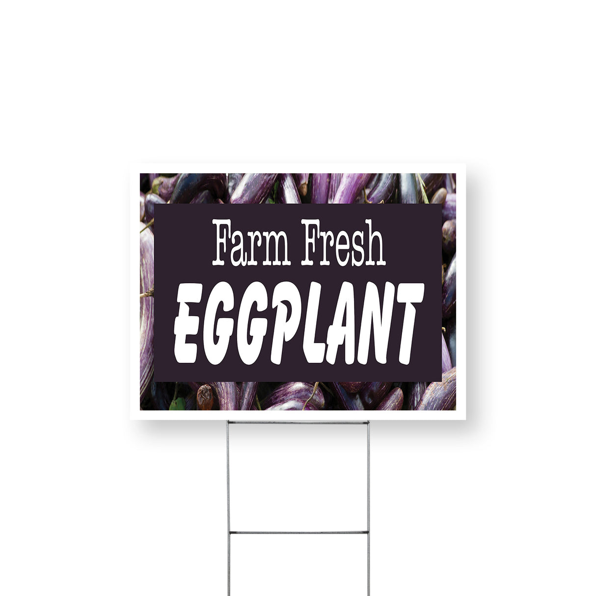 Farm Fresh Eggplant
