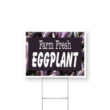 Farm Fresh Eggplant