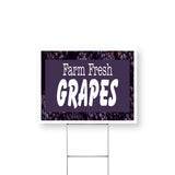 Farm Fresh Grapes