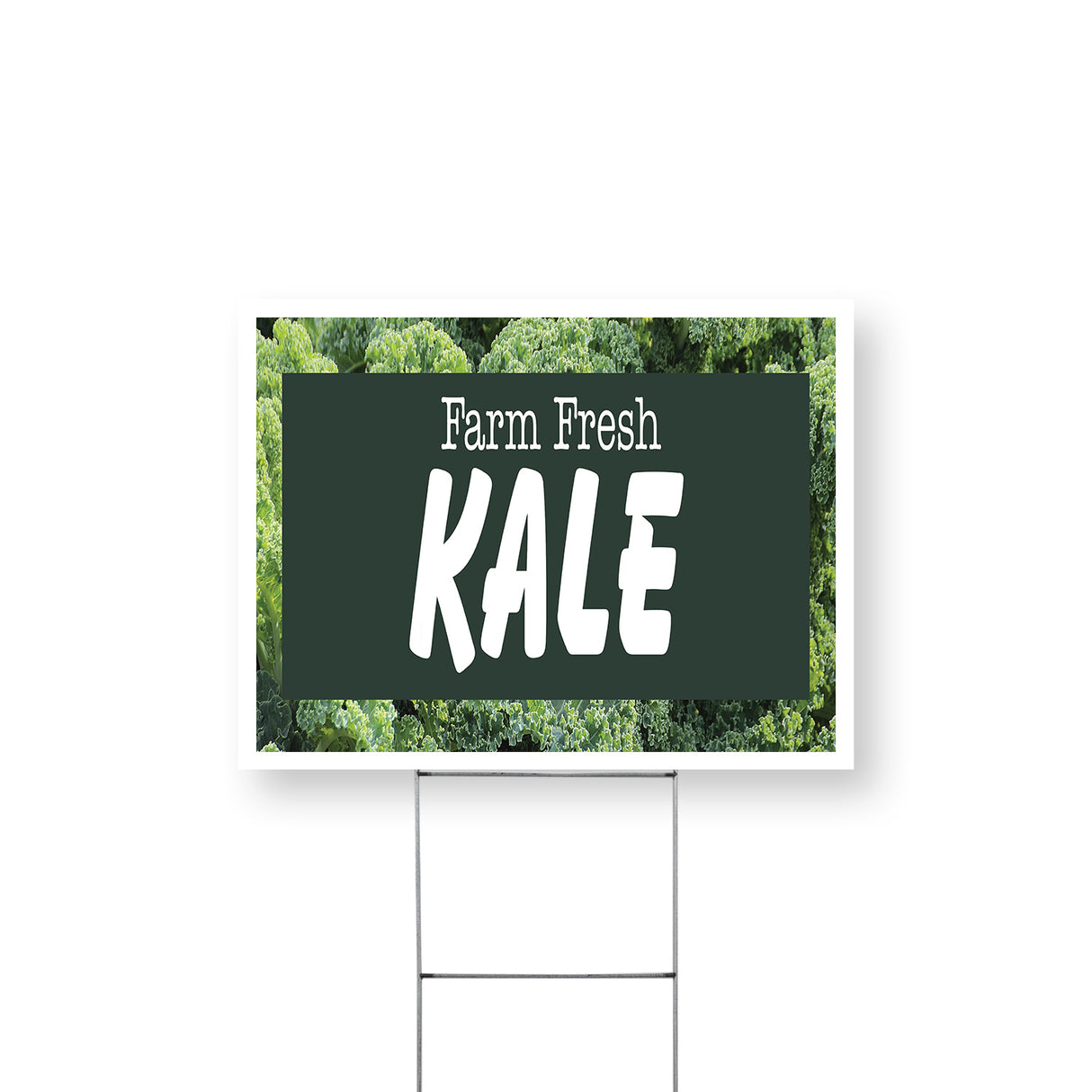 Farm Fresh Kale