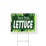 Farm Fresh Lettuce