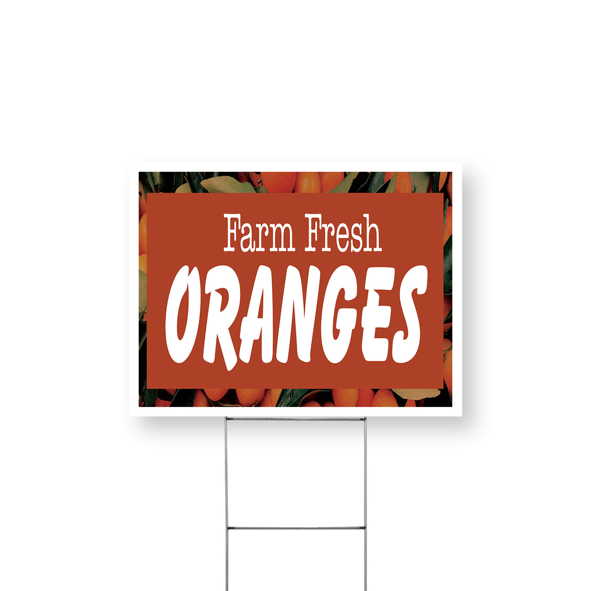 Farm Fresh Oranges