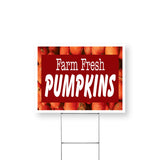 Farm Fresh Pumpkins