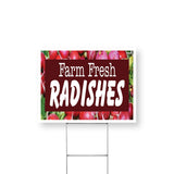 Farm Fresh Radishes