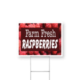 Farm Fresh Raspberries