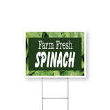 Farm Fresh Spinach