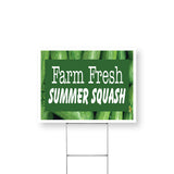 Farm Fresh Summer Squash
