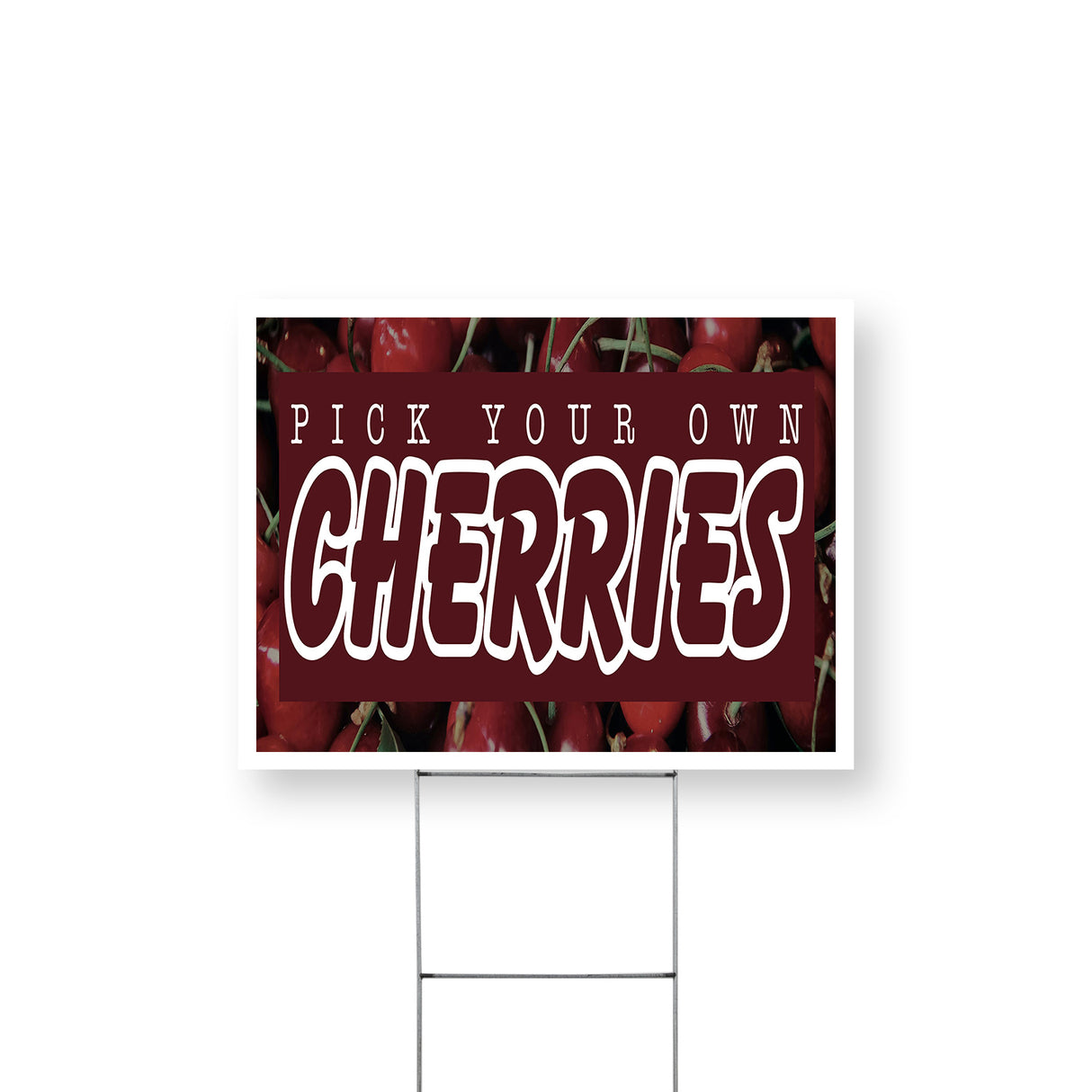 Pick Your Own Cherries