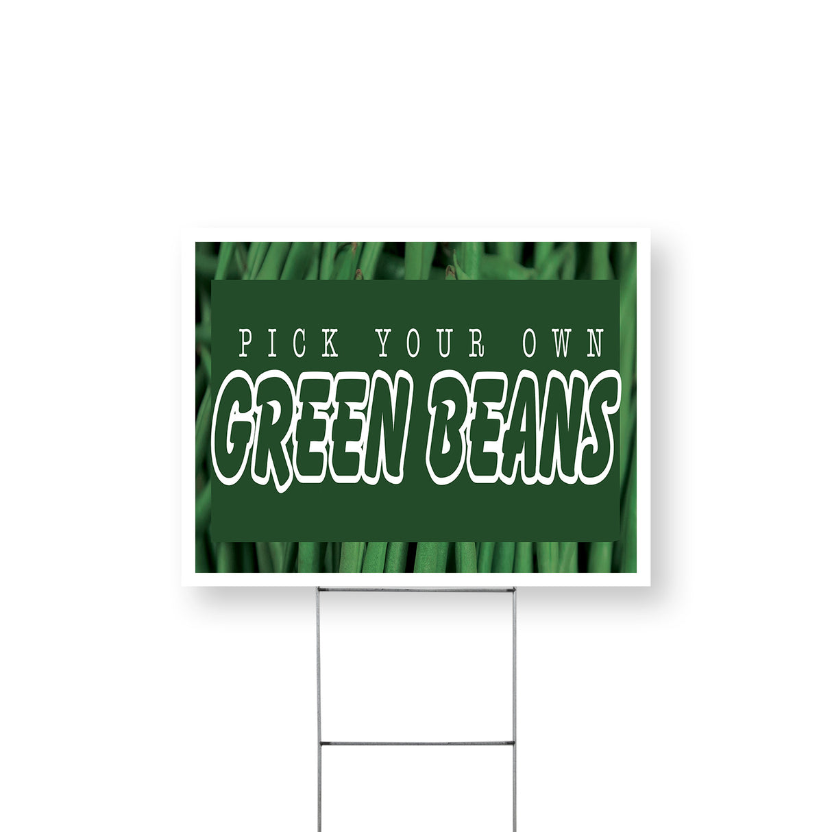 Pick Your Own Green Beans