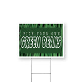 Pick Your Own Green Beans