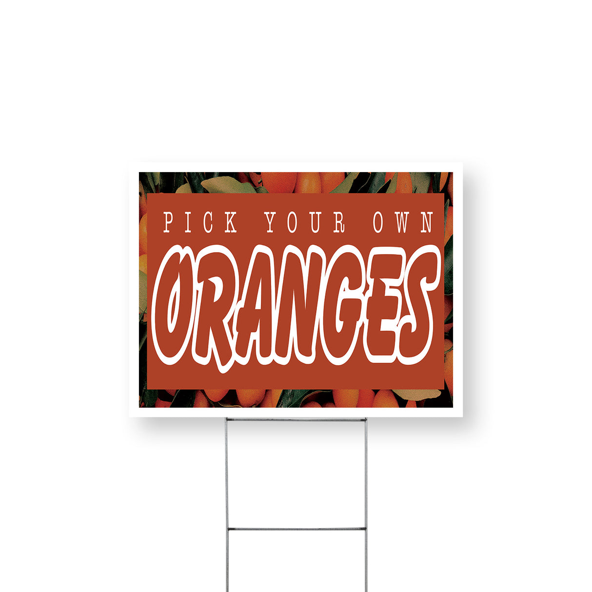 Pick Your Own Oranges