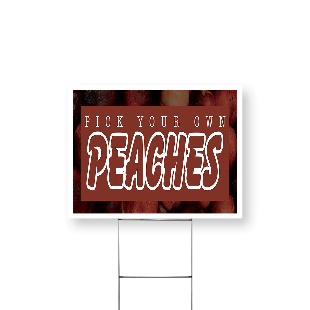 Pick Your Own Peaches