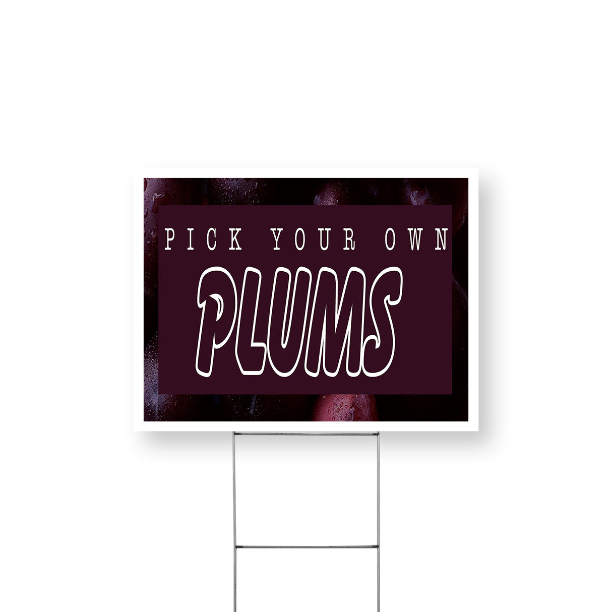 Pick Your Own Plums