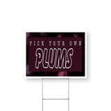 Pick Your Own Plums
