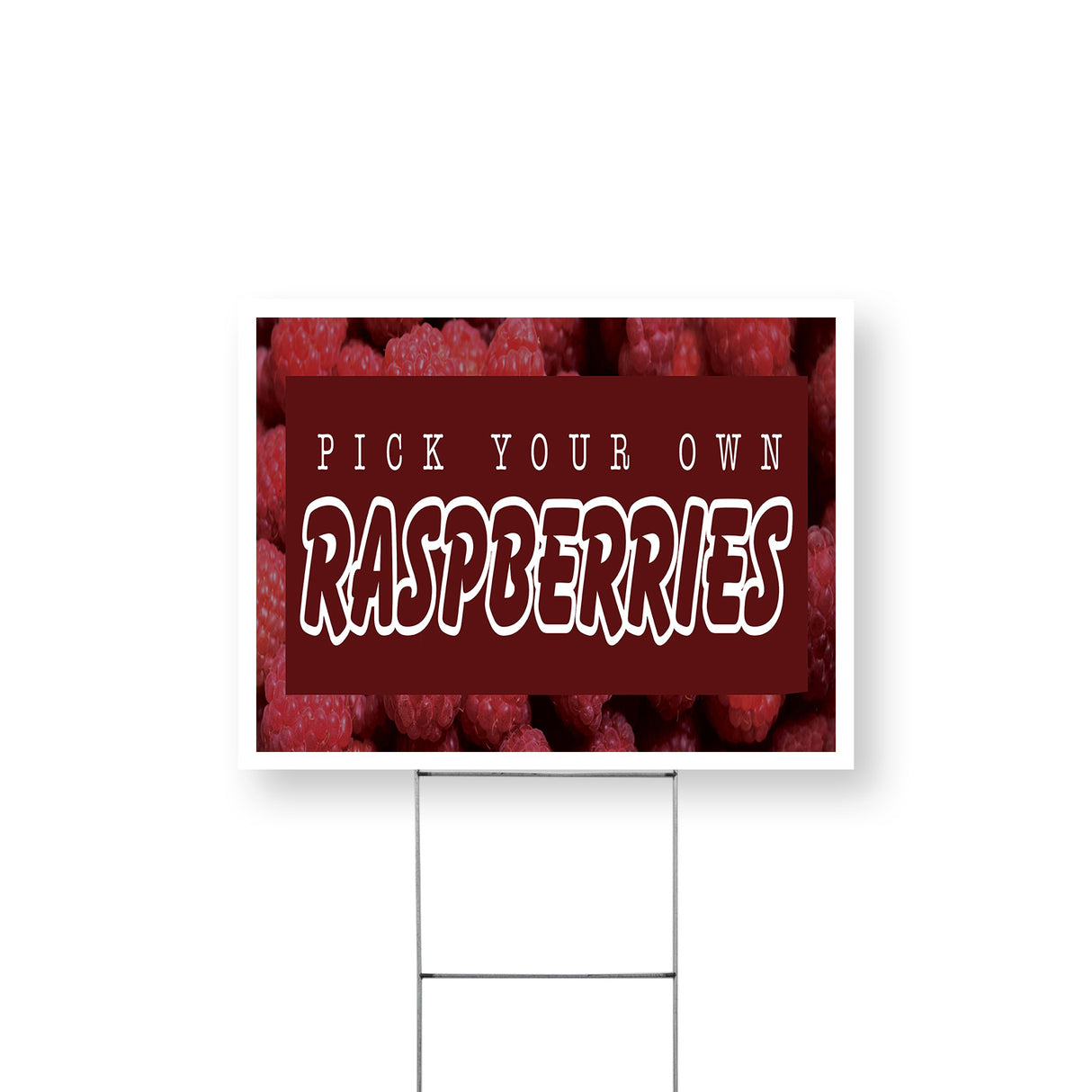 Pick Your Own Raspberries