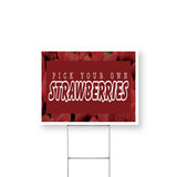 Pick Your Own Strawberries