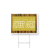 Pick Your Own Sweet Corn