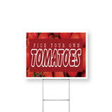 Pick Your Own Tomatoes
