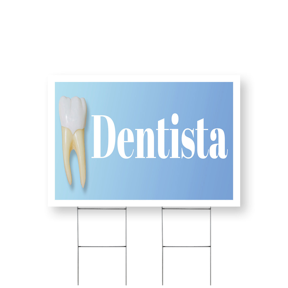 Dentista