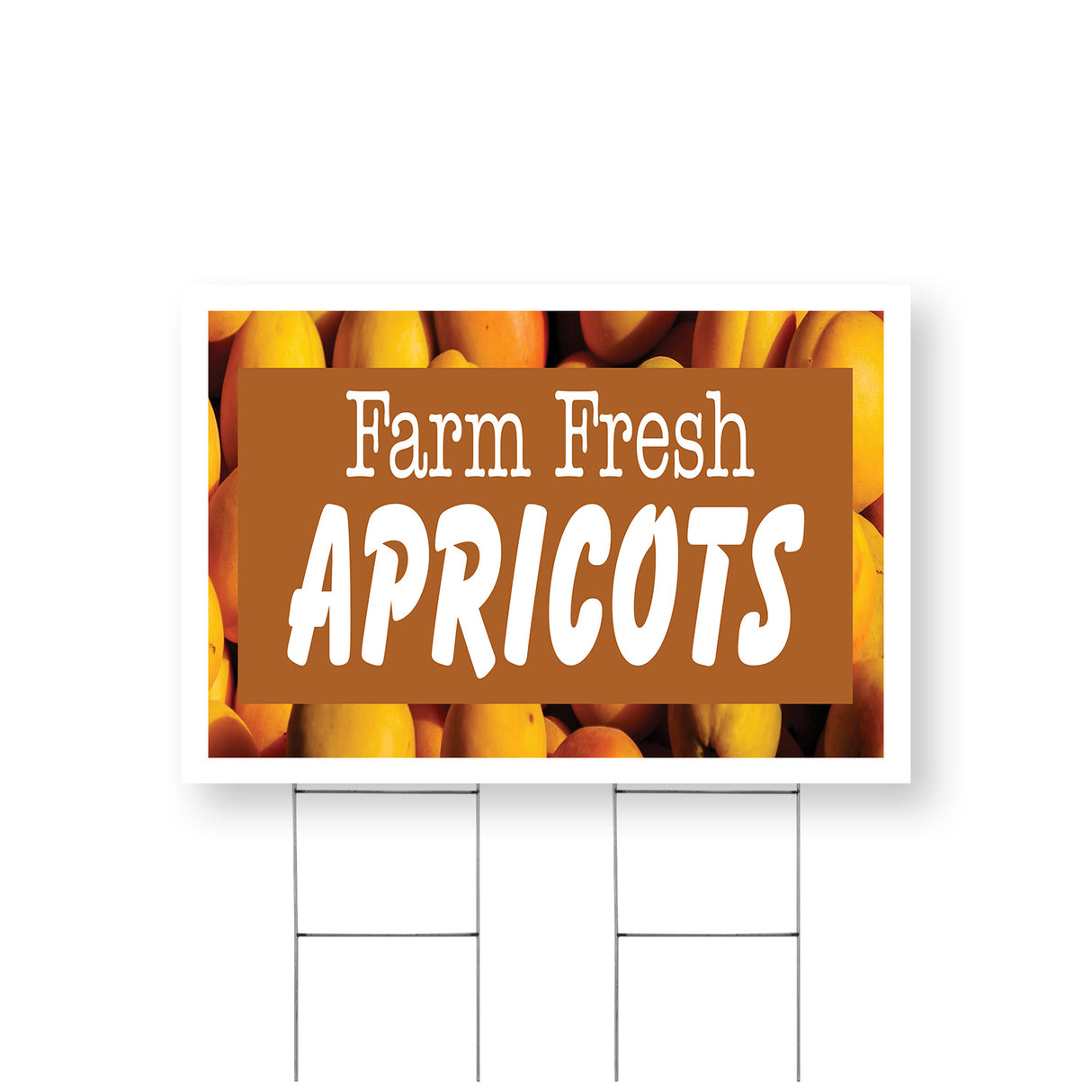 Farm Fresh Apricots