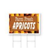 Farm Fresh Apricots