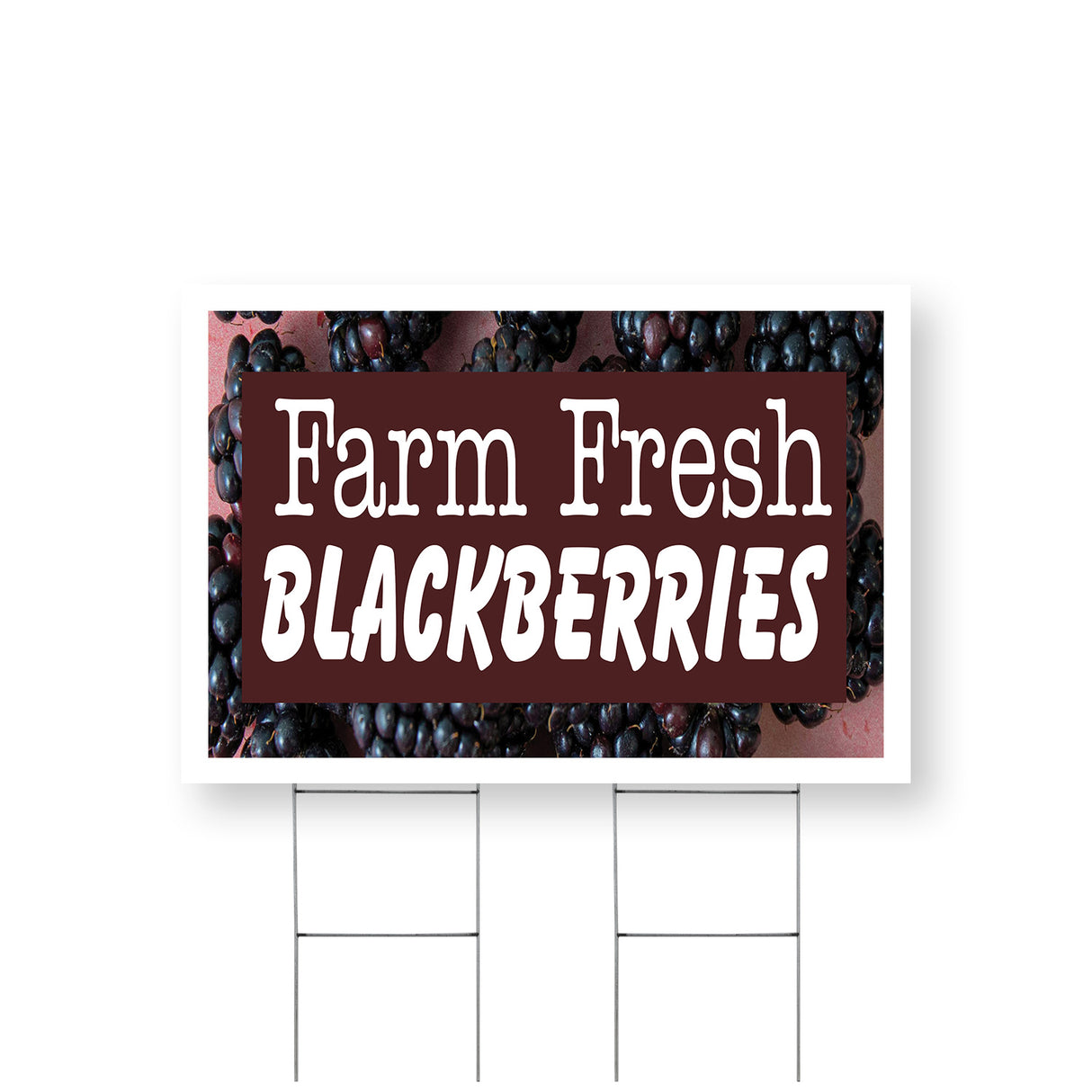 Farm Fresh Blackberries