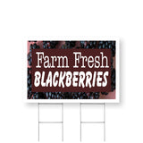 Farm Fresh Blackberries