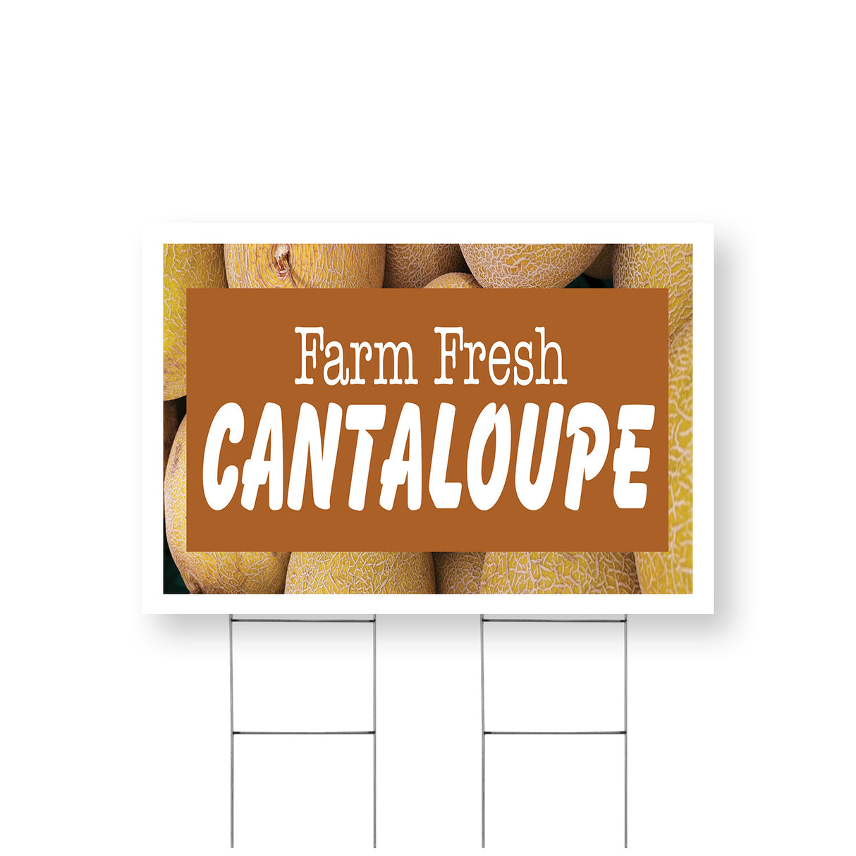 Farm Fresh Cantaloupe