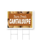 Farm Fresh Cantaloupe