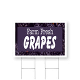 Farm Fresh Grapes