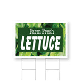 Farm Fresh Lettuce