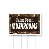 Farm Fresh Mushrooms
