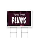 Farm Fresh Plums