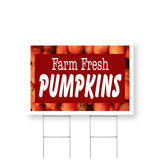Farm Fresh Pumpkins
