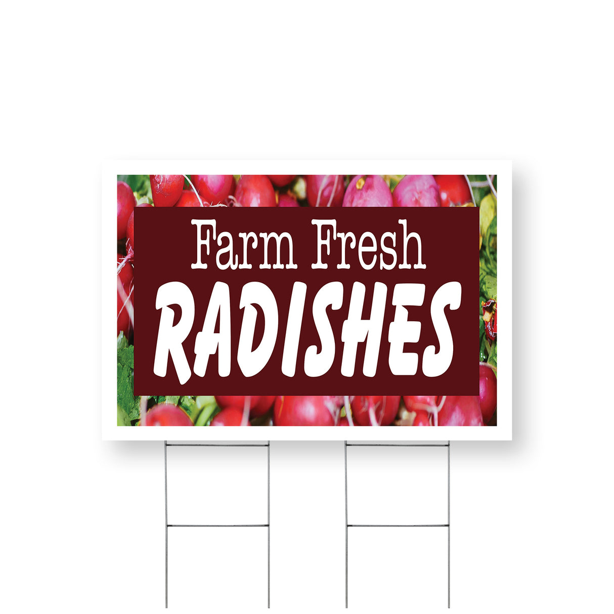 Farm Fresh Radishes