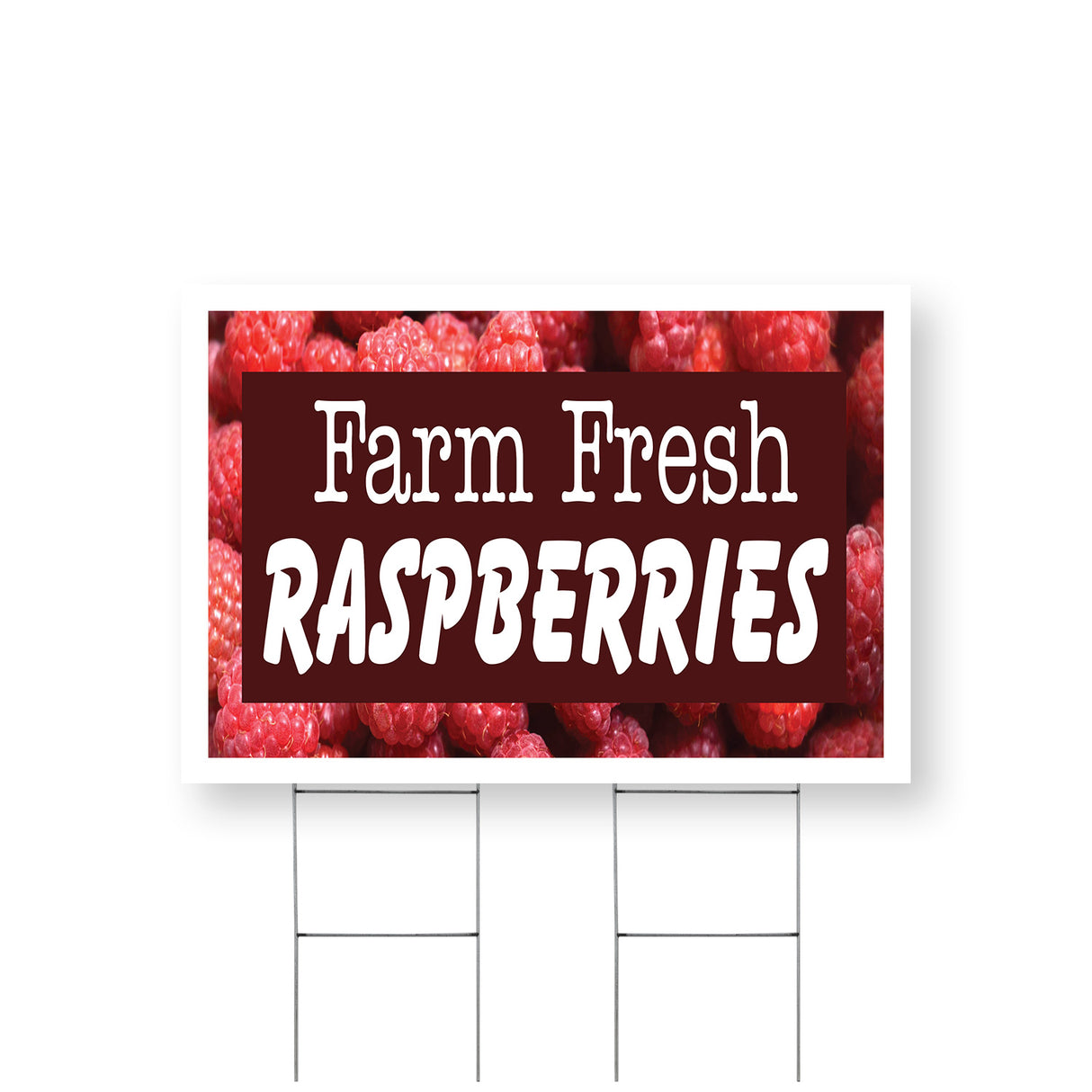 Farm Fresh Raspberries