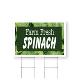 Farm Fresh Spinach