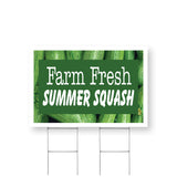 Farm Fresh Summer Squash