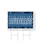 Pick Your Own Blueberries