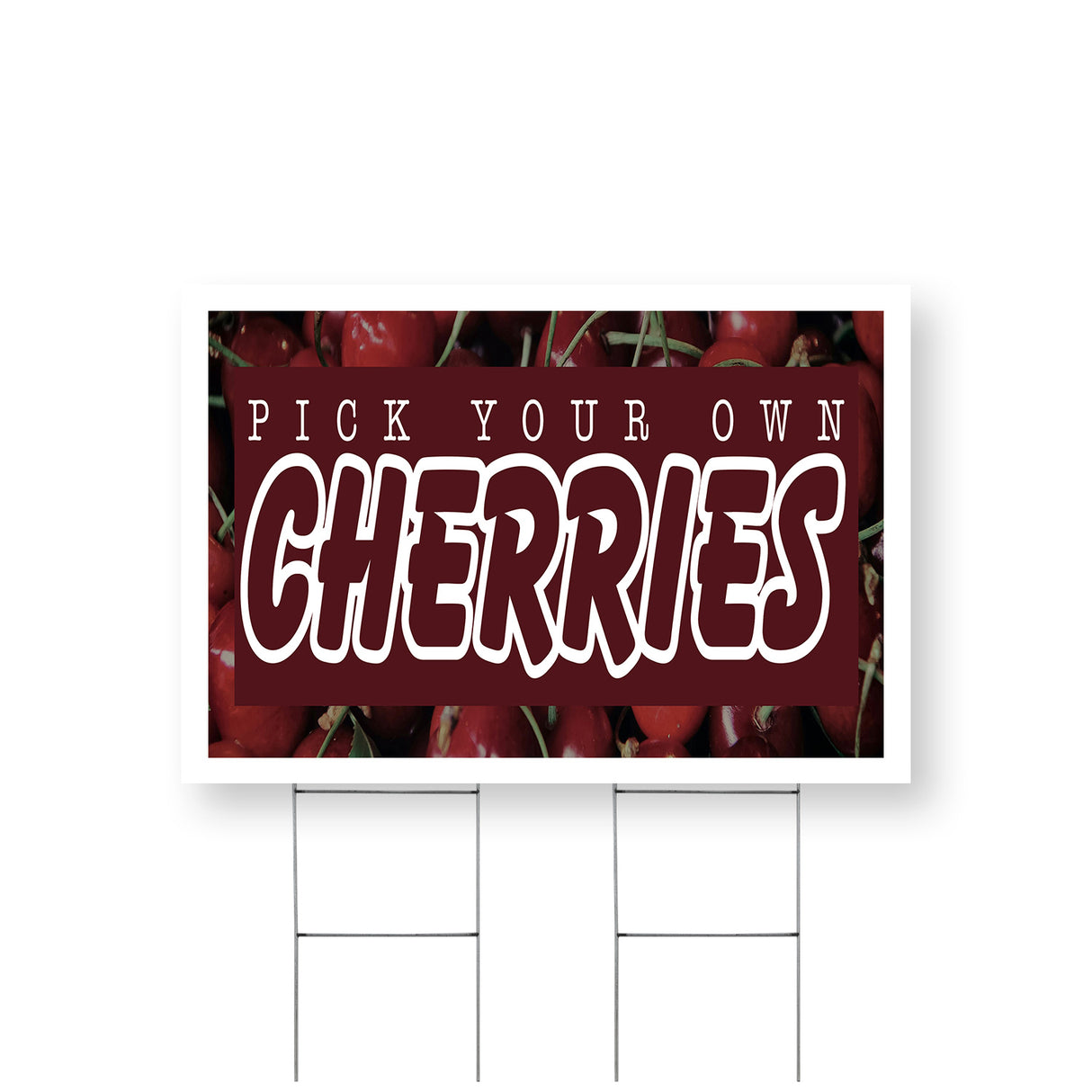 Pick Your Own Cherries