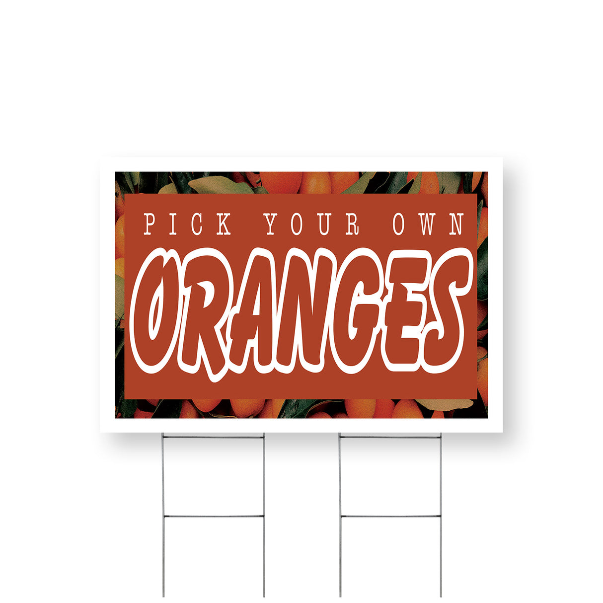 Pick Your Own Oranges