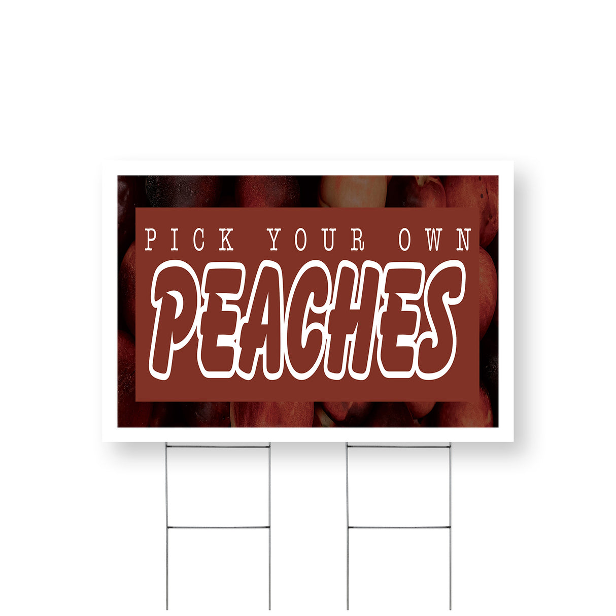 Pick Your Own Peaches