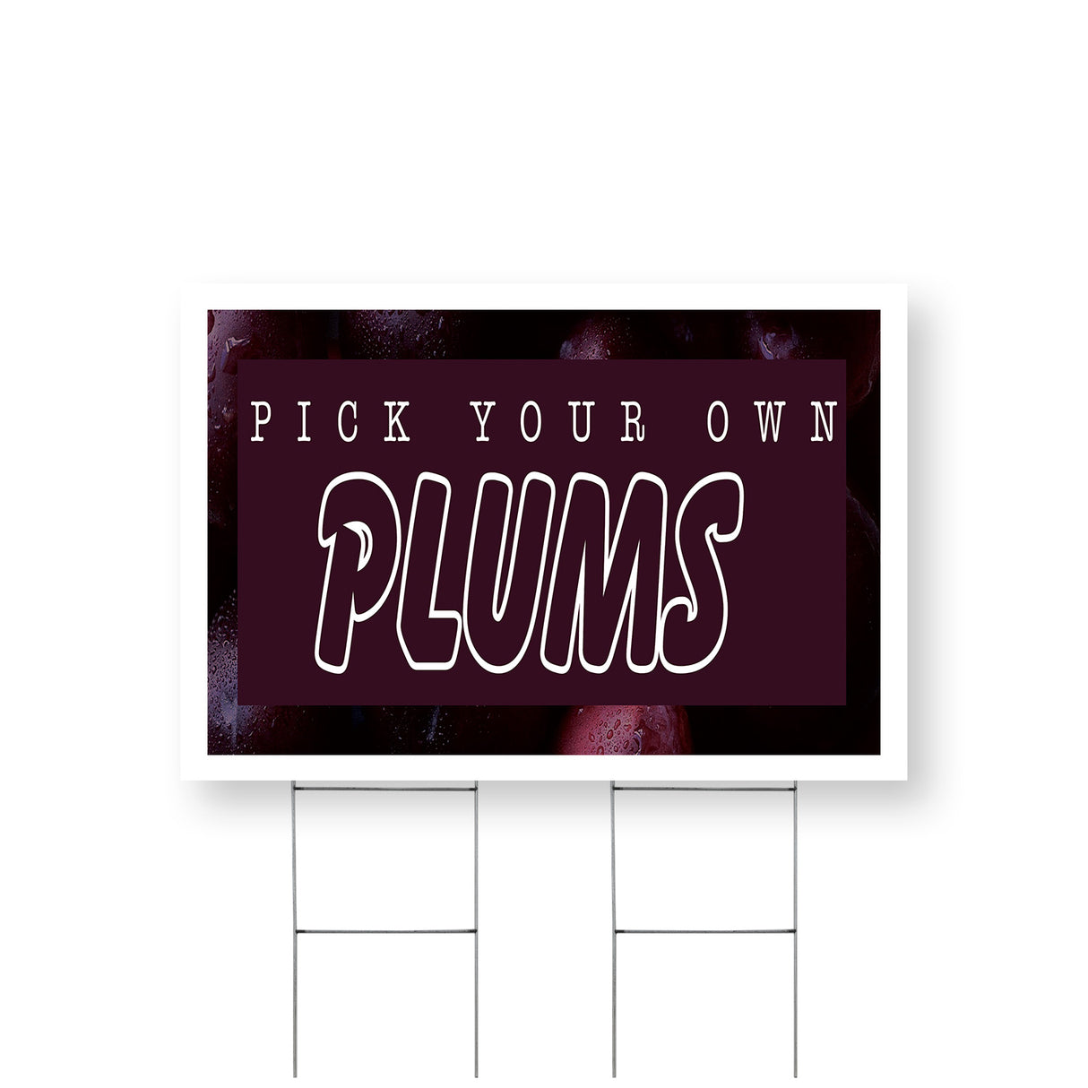 Pick Your Own Plums