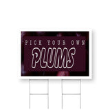 Pick Your Own Plums