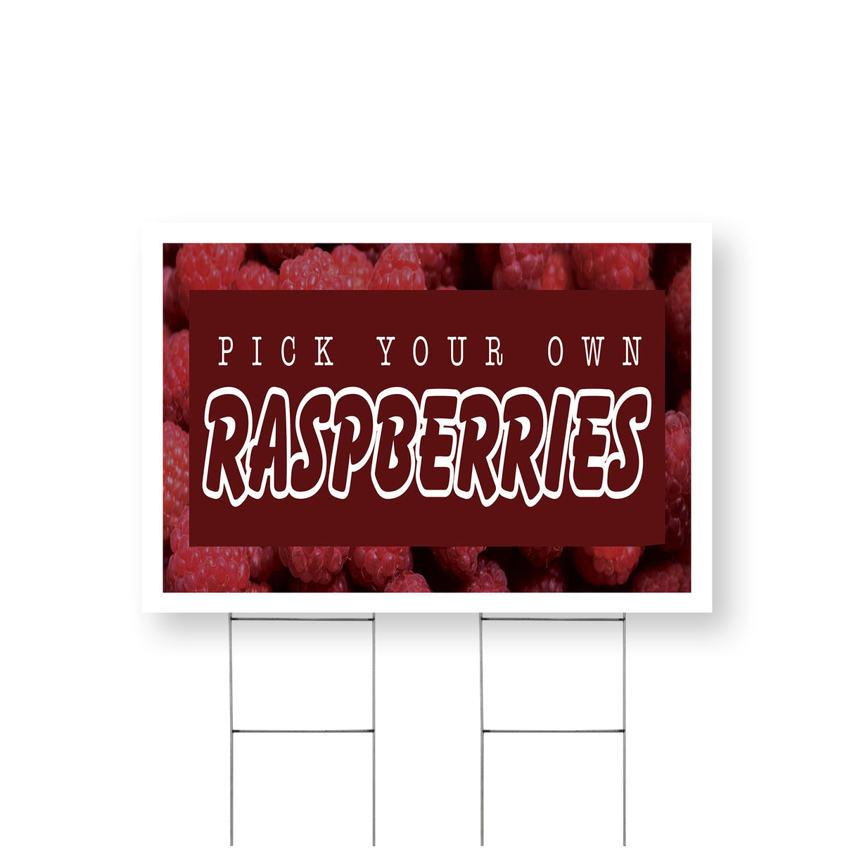 Pick Your Own Raspberries