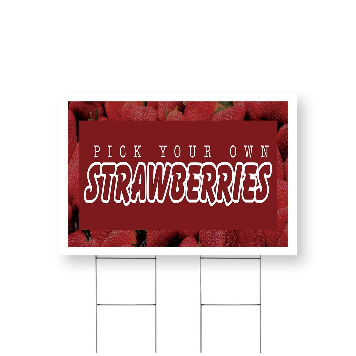 Pick Your Own Strawberries