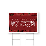 Pick Your Own Strawberries